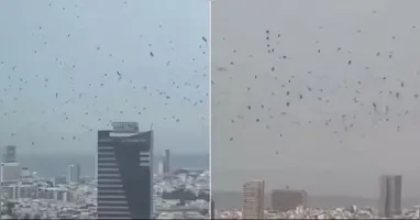 O efeito, visto de baixo, é de fato impressionante, especialmente sobre um horizonte conhecido apenas por arranha-céus.