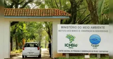 ICMBio quer montar equipe de brigadistas