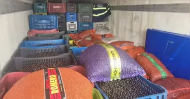 Cerca de 43 toneladas de açai apreendidos
