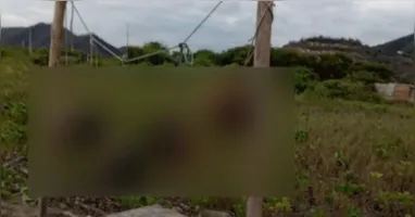 Junto aos restos mortais, os suspeitos deixaram uma mensagem escrita em uma tábua de madeira com um aviso claro de ameaça.