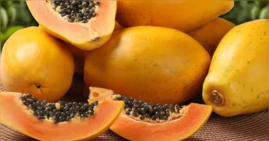 A presença de antioxidantes protege as células dos danos causados pelos radicais livres e ajuda a prevenir doenças degenerativas.
