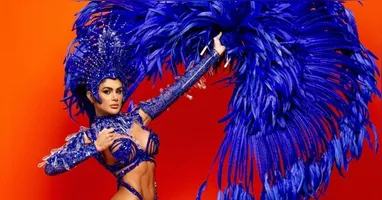 A denúncia veio apenas cinco dias depois do desfile da Gaviões da Fiel no Sambódromo do Anhembi, quando a escola ficou em segundo lugar na disputa pelo título do Carnaval de SP.