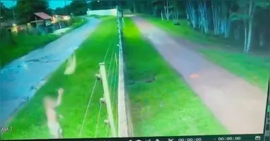 Câmeras de segurança flagram homem chegando com uma cadelinha nas mãos e arremessando o animal.