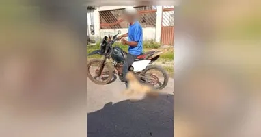 Cachorro apresentava ferimentos em decorrência da violência, foi resgatado e entregue aos cuidados de uma ONG.