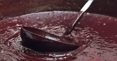 A divulgação ocorre em meio ao reforço das ações de fiscalização após registros de casos de Doença de Chagas relacionados ao consumo de açaí contaminado.