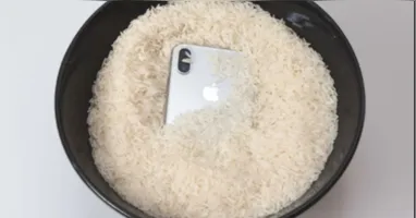 Arroz de celular? A dica não é recomendada assim