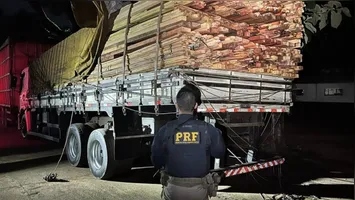 Agentes da PRF vistoriam carga de madeira serrada apreendida no km 245 da BR-222, em Marabá.