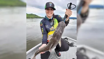 Prática do "pesque e solte" garante a preservação das espécies de peixes de couro durante a competição no Rio Xingu.