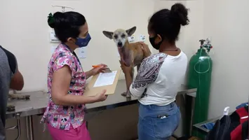 As novas estruturas integram o pacote de investimentos do município na área de bem-estar animal.