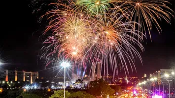 Imagem ilustrativa da notícia Fogos de artifícios com estampido são risco para animais e pessoas