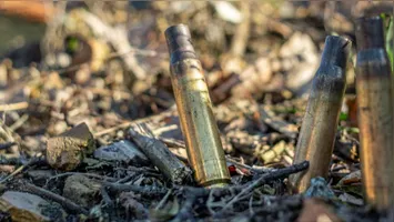 Lúcia Helena Pinto de Barros (PSD), conhecida como Lucinha, será investigada por suposto envolvimento com a "Família Braga".