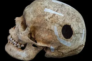 Descoberta de sepulturas de 1.200 anos no Wandlebury Park revela indícios de mortes violentas e práticas funerárias da Idade Média na Inglaterra.