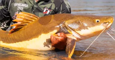 As decisões envolvem ações coordenadas entre países para proteger espécies que cruzam fronteiras durante seu ciclo de vida.