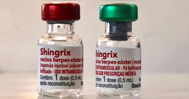 O herpes-zóster é uma condição de saúde causada pelo vírus varicela-zóster, o mesmo que causa a catapora