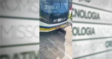 Idoso é atingido por ônibus do BRT na Almirante Barroso e imagens mostram vítima debaixo do veículo após o impacto.