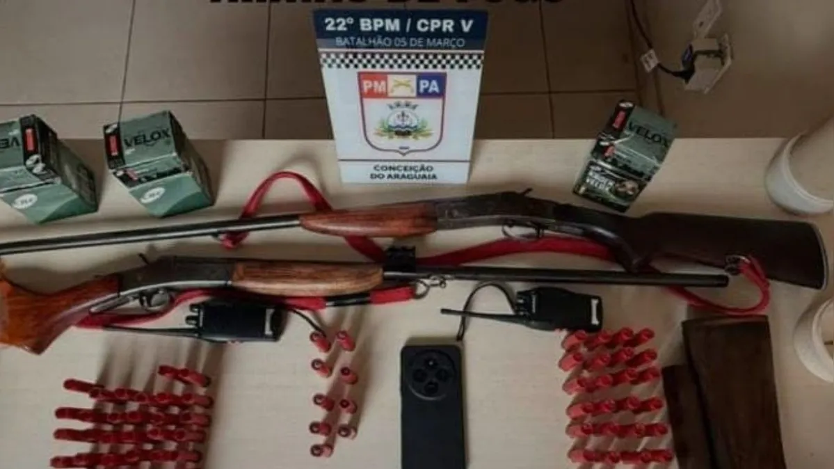 Imagem ilustrativa da notícia Câmeras flagram furto e polícia descobre arsenal secreto de armas