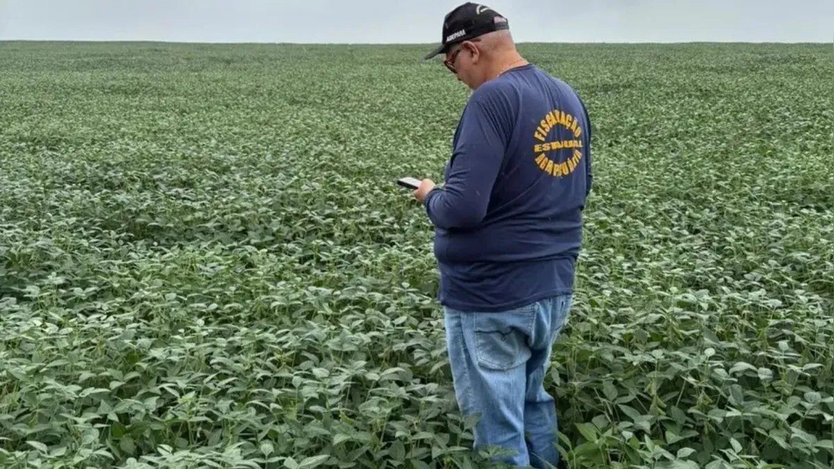 Imagem ilustrativa da notícia Prazo para cadastro da soja 2025/2026 encerrou neste sábado