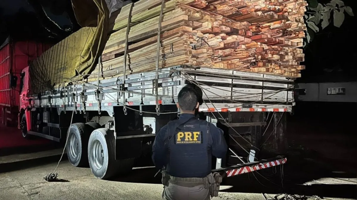 Imagem ilustrativa da notícia PRF apreende carga ilegal de madeira durante fiscalização na BR-222
