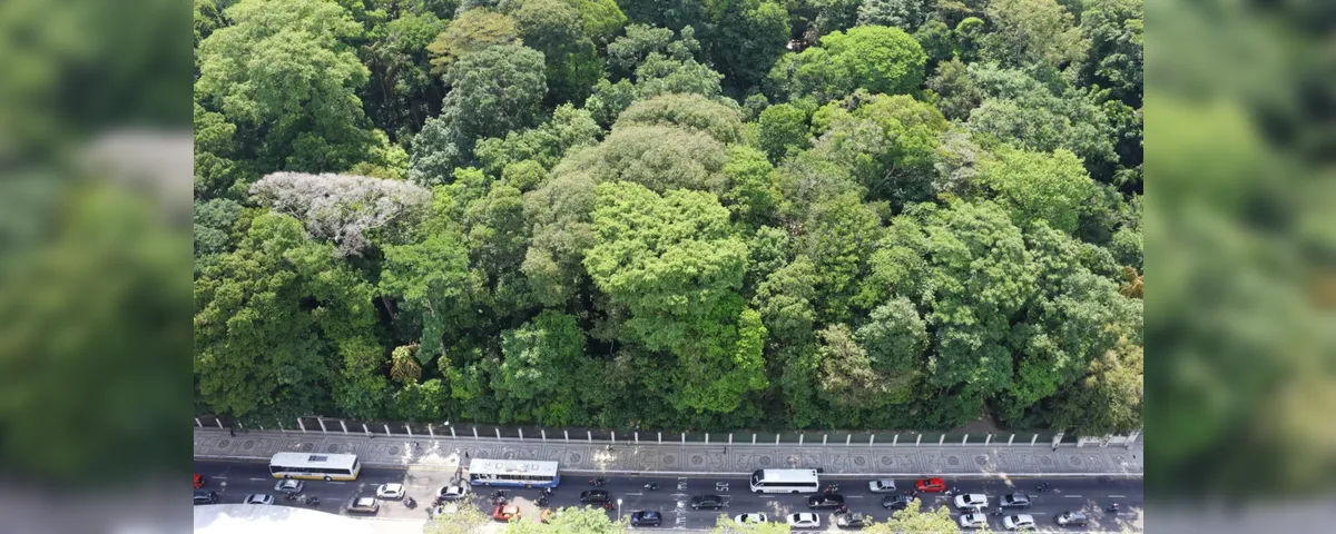 Imagem ilustrativa da imagem Bosque Rodrigues Alves preserva relação de Belém com a floresta