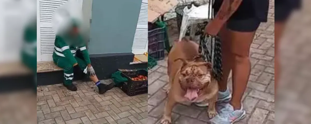 O caso foi registrado na Seccional de São Brás como omissão na guarda de animal perigoso.