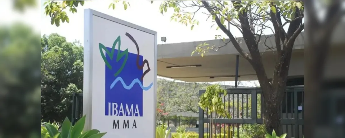 Os selecionados receberão, além do salário base, um pacote de benefícios. O auxílio-alimentação, auxílio pré-escolar e auxílio-transporte complementam a remuneração dos contratados.