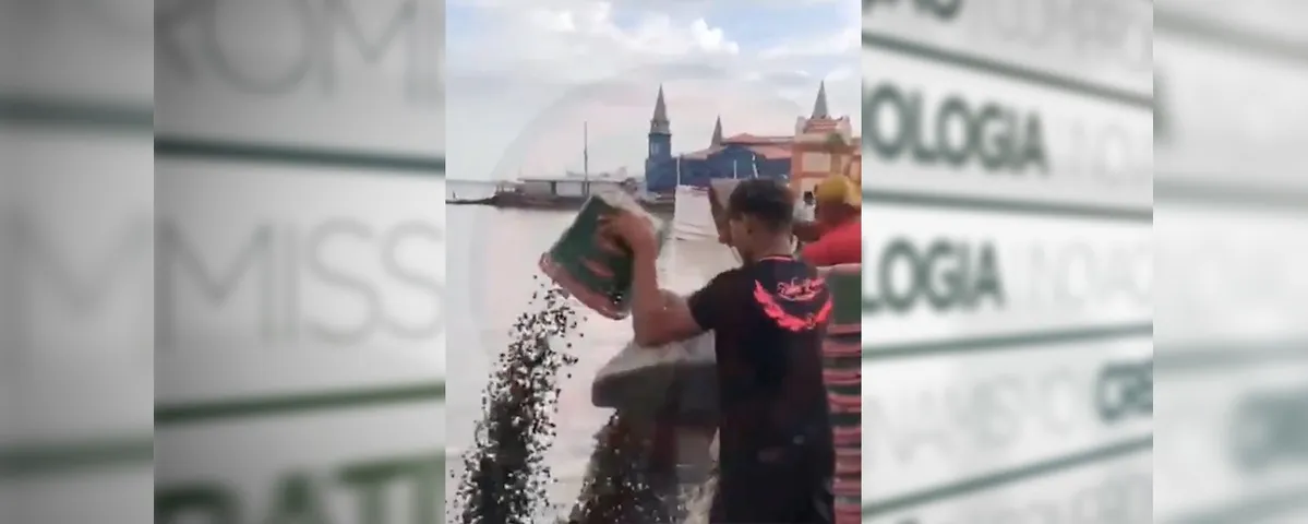 Durante o período que furto não foi comercializado, perdeu a qualidade.