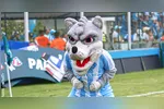 O Lobo está próximo do quadrangular