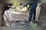 Corpo estava enterrado no quintal da casa da vítima