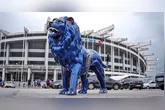 Leão Azul não está sendo temido em Belém