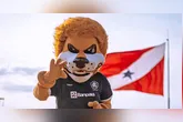 Leão é o Pará no Brasileirão!