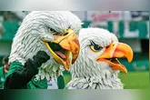 Paraenses seguem próximos à segunda fase