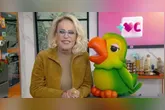 Ana Maria Braga foi o alvo da reclamação sobre os atrasos para encerrar o programa
