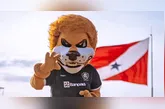 Imagem ilustrativa da notícia Clube do Remo está perto de fechar com dois novos reforços
