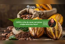 Imagem ilustrativa da notícia COP30 e crise do cacau: narrativas criadas antes dos fatos?