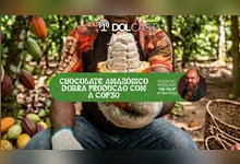 Imagem ilustrativa da notícia Chocolate amazônico dobra produção com a COP30
