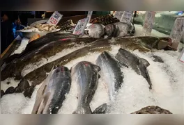 A carestia do pescado responde a uma combinação de fatores que afetam o mercado nacional.