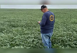 Dados da Adepará revelam que a soja segue em franca expansão no estado.