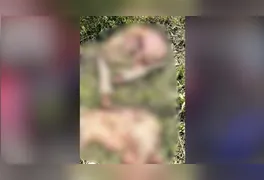 A ação criminosa, marcada pela crueldade e pelo prejuízo financeiro, tem gerado forte insegurança na zona rural do município.