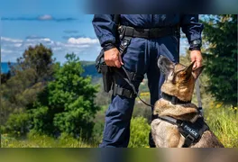 A Polícia Militar do Estado do Pará oficializou a inauguração e homologação do seu terceiro Canil Setorial