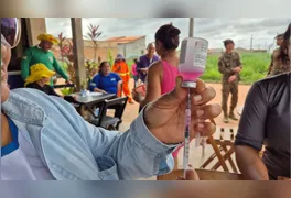 Imagem ilustrativa da notícia Vacinação de Cães e Gatos em Marabá chega ao fim, confira