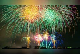 Recomendação é para evitar uso de fogos de artifício com barulho
