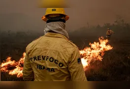 Diferente da maioria das seleções federais, as inscrições para este processo seletivo serão presenciais e gratuitas.