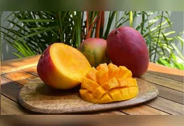 O grande diferencial apontado pela pesquisa foi o aumento da sensibilidade à insulina.