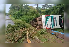 Ônibus da empresa Danistur tombado em vala lateral na BR-153 após desvio de obstáculo.