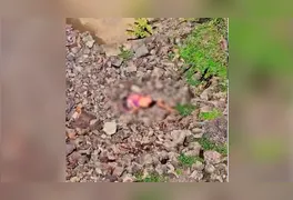 A vítima foi identificada como Marcos Antônio, residente da localidade de Pontinha