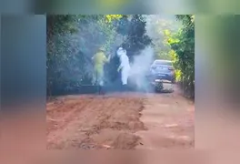 Equipes de resgate e policiamento ambiental trabalham no isolamento da área para evitar novos acidentes com o enxame.