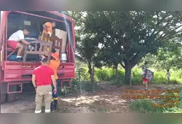 A subida acelerada do nível dos rios Tocantins e Itacaiúnas colocou a Defesa Civil de Marabá em estado de alerta máximo.