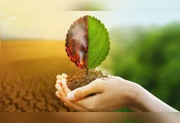 O enfrentamento às mudanças climáticas, marcadas por secas extremas e tempestades, está impulsionando um novo motor econômico