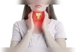 Especialistas desmistificam o papel de alimentos como soja e glúten no metabolismo