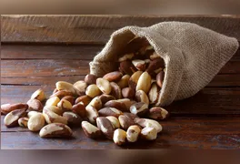 As castanhas e nozes conquistaram espaço definitivo nas dietas equilibradas.